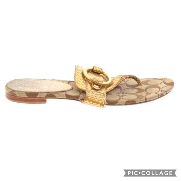 Coach Sandals - Picture 1 of 3